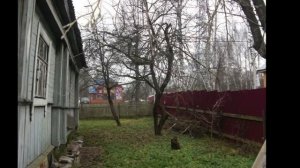 Дом по Ленинградскому ш., г. Солнечногорск, ПМЖ