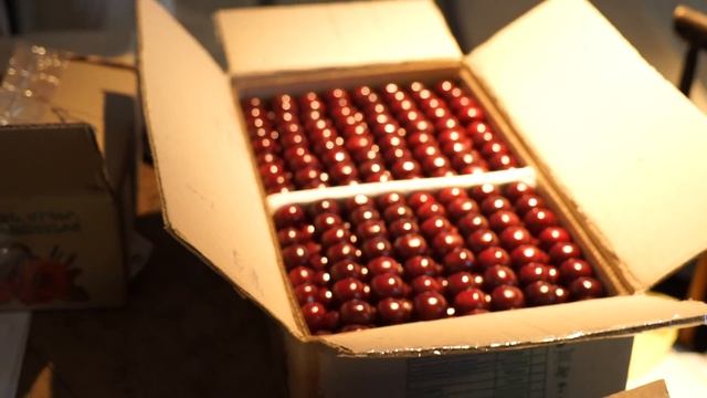 [GOGOL-БАЗАР] // Как это было смотреть онлайн