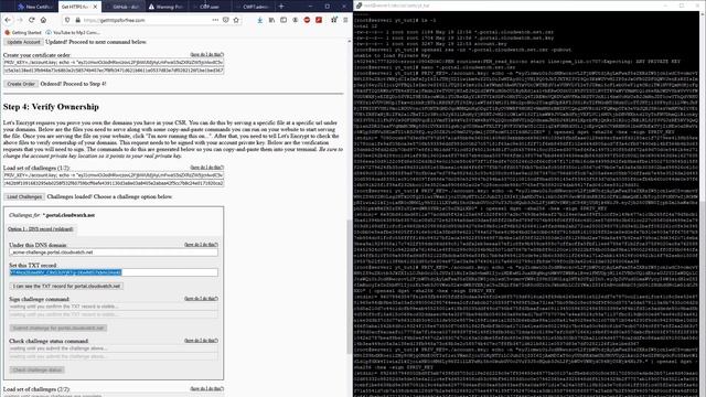 SSLforfree.com Alternative - gethttpsforfree.com CentOS Web Panel Wildcard Certificate - May 2020 смотреть онлайн