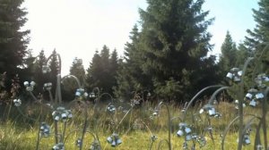 Мир через 100 лет