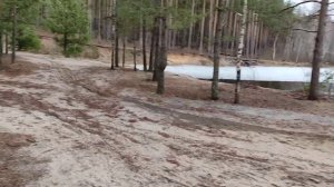 Лабрадор не Скучает по Хозяину, Особенность Породы