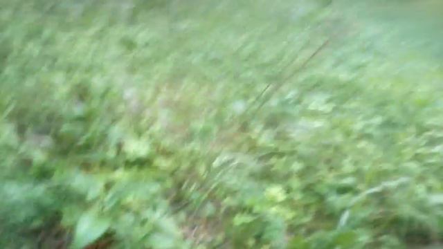 жуткое существо снятое на камеру -неужели это ХХХХХХХХ!!!!!!!! смотреть онлайн