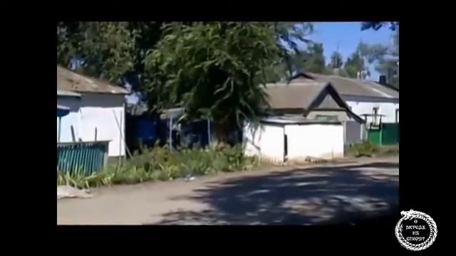 как не надо пилить деревья