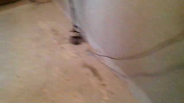 Залил полы. Красота!!! смотреть онлайн