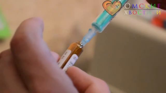 мартин в живаго смотреть онлайн