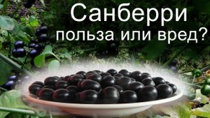 Диабет или нет? День 95-97. Ягоды санберри. Как психологическое состояние влияет на уровень глюкозы?