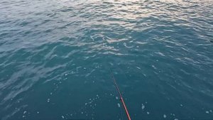 Морская Рыбалка. Ловля Саргана на черном море в конце осени