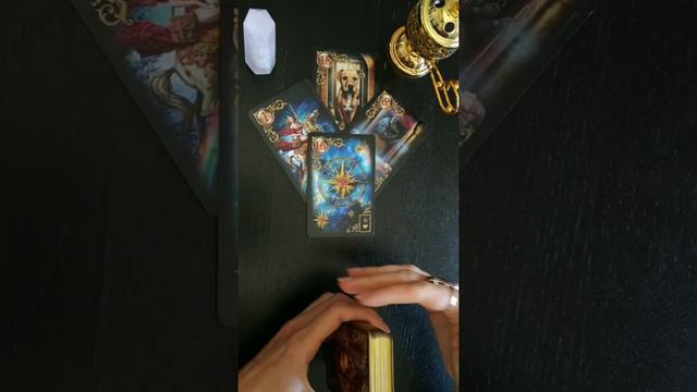 ЗАЧЕМ ВЫ ВСТРЕТИЛИСЬ? Что Вам принесет этот человек? #егорольвмоейсудьбе #длячеговывстретилисьтаро смотреть онлайн