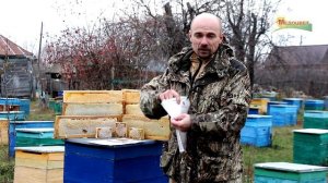 Документы на мед