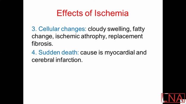 Pathology Lecture 5 - hemodynamics. смотреть онлайн