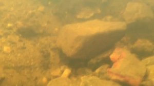 Эжектор нижний Deepsees/Дипсис 90мм (3,5")