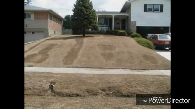 Гидропосев газонов в Омске смотреть онлайн