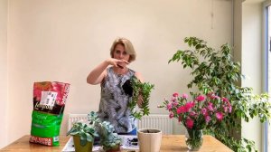 Делаем цветочную композицию