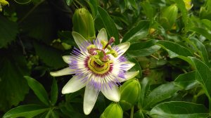 Красота природы Туапсе.Мыс Кадош.