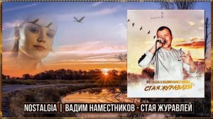 Вадим Наместников   Стая журавлей