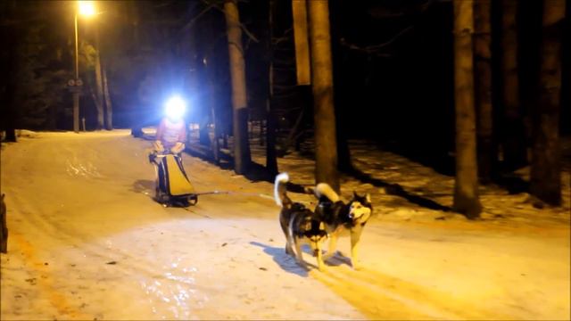 "Ночь побед в Троицке" (07-03-2015) смотреть онлайн