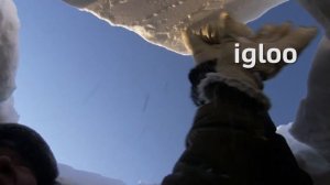 Go Getter 3 BBC Get Culture Unit 1 The Arctic