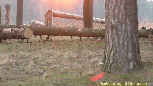 Боковой кивок не помог. Рыбак Андрей Николаев. Ликино. Щедрино.