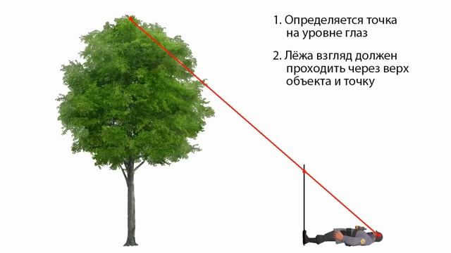 [РВ] Измерение высоты объектов палкой (ответ)