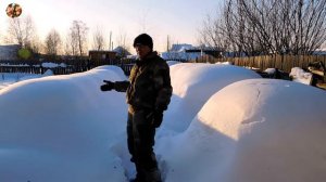 Зимовка пчёл под снегом на севере