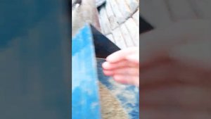 дробим зерно для КРС