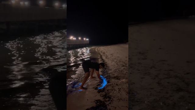 Bioluminescent Plankton Glow on Beach in the Maldives || ViralHog