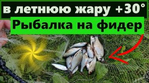 Рыбалка на фидер в летнюю жару +30