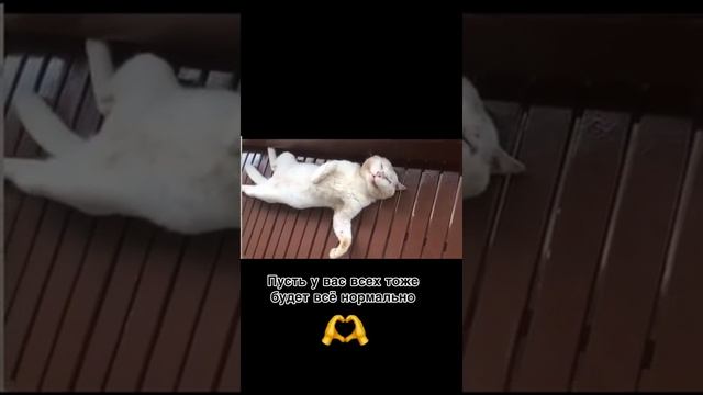 Всё нормально