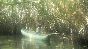 Бентота Шри Ланка.Водное сафари по реке Бентоте