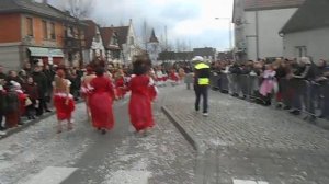 LES HIBISCUS BESANCON