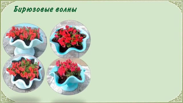 Цветущий город 2018 смотреть онлайн