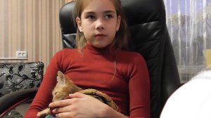 Мой Влог -  купаем котенка.  Как купать котенка ч.1