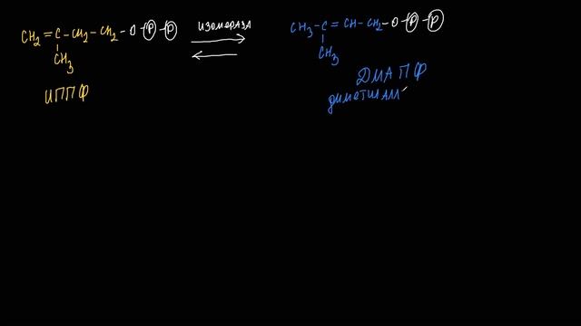Лекция 10. 1 Биосинтез холестерола смотреть онлайн