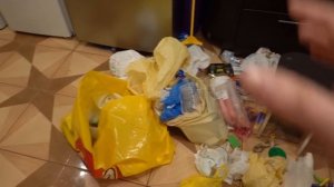 VLOG На меня напала уборка