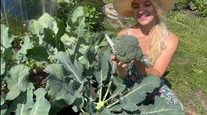 ПЕРВАЯ РАННЯЯ БРОККОЛИ В НАЧАЛЕ ИЮЛЯ/МАССОВЫЙ СБОР УРОЖАЯ ОГУРЦОВ И ЯГОД ПОСЛЕ НЕДЕЛЬНОГО ОТСУТСТВИЯ