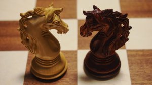 Шахматные  фигуры