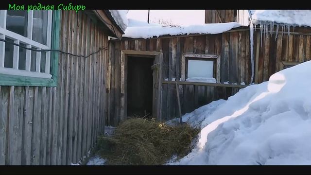 Достали свежее сено - сделали гнёзда для гусей. Использование птичьего помета. смотреть онлайн