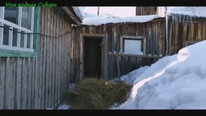 Достали свежее сено - сделали гнёзда для гусей. Использование птичьего помета.