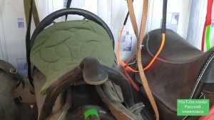 Нашёл магазин конной сбруи!