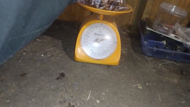РАЗБОР ТЕЛЕВИЗОРА"РАССВЕТ-307-1"? РАЗБОР СТАРОЙ ТЕХНИКИ. ПОИСК МЕДИ И МЕТАЛЛОЛОМА! ТЕЛИВИЗОР В МЕТА