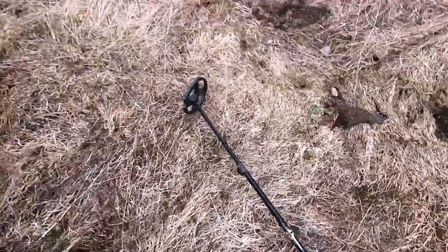 Сгонял за день два раза на Коп! Коп с XP ORX! смотреть онлайн