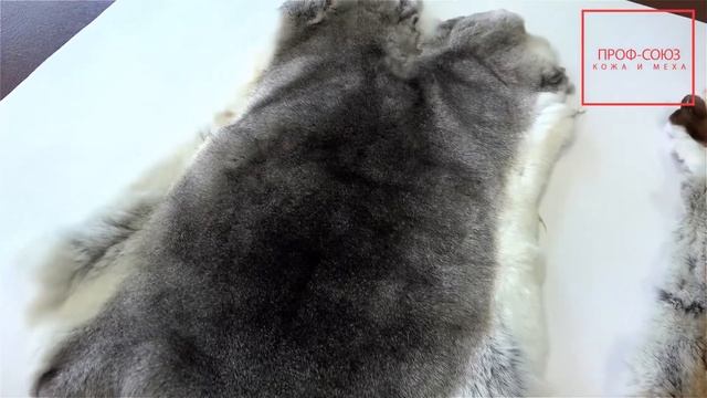 Кролик Рекс , Кожа и Меха , Пластины Меха! смотреть онлайн