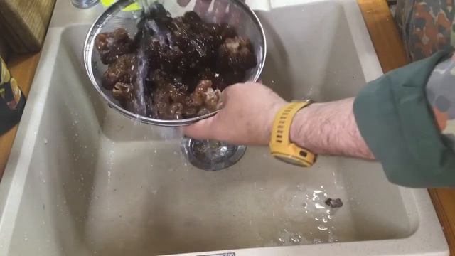 грибы строчки 2021 в сливочном соусе и ария мистера х смотреть онлайн