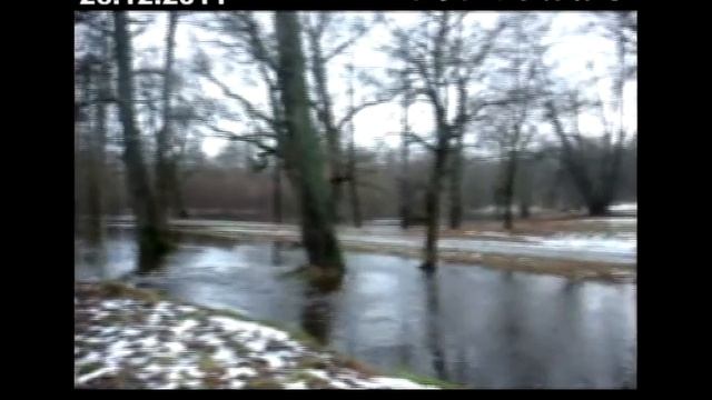 Циклон «Патрик» в Сестрорецке смотреть онлайн