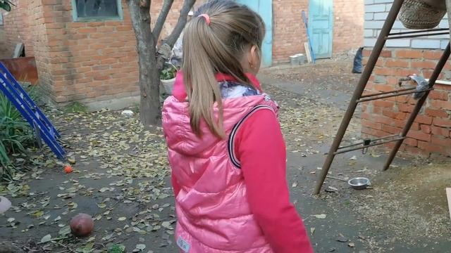 Собираем с песнями спорткомплекс смотреть онлайн