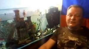 Сколько рыбок можно держать в аквариуме.