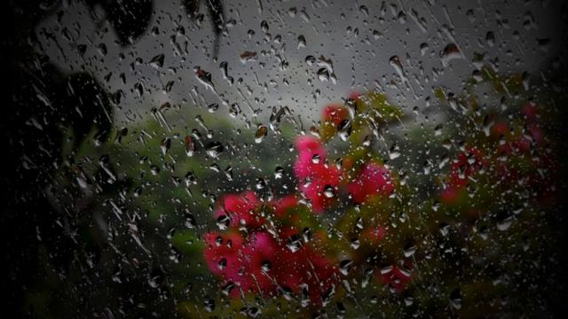 СЕРГЕЙ ЛЮБАВИН-НЕЖНОСТЬ(слайд шоу) смотреть онлайн