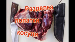Разделка лопатки косули