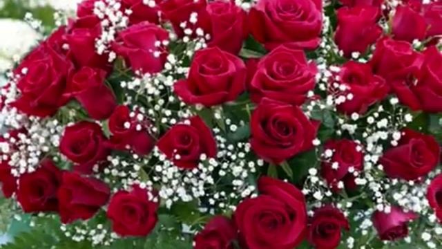 любимые цветы(Т.Буланова)