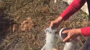 дымогенератор с верхним горением щепы